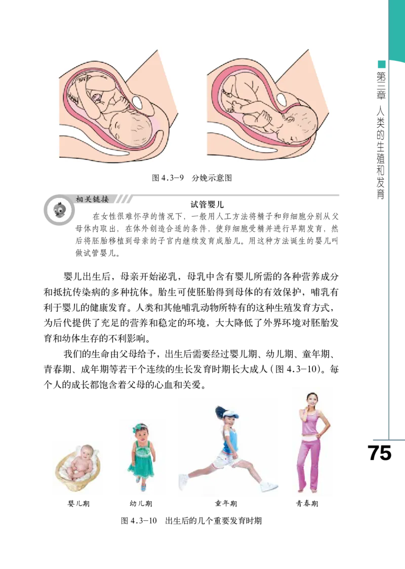 济南版8年级生物上册高清教材_4-教培资料-26年最新资料-同步更新_初中高中教资_03科三专项（进去保存报考的学科即可）_02科三专项（笔记真题思维导图教学设计版本二）