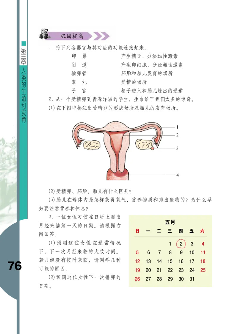 济南版8年级生物上册高清教材_4-教培资料-26年最新资料-同步更新_初中高中教资_03科三专项（进去保存报考的学科即可）_02科三专项（笔记真题思维导图教学设计版本二）