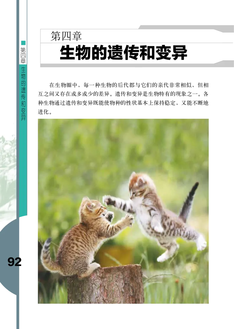 济南版8年级生物上册高清教材_4-教培资料-26年最新资料-同步更新_初中高中教资_03科三专项（进去保存报考的学科即可）_02科三专项（笔记真题思维导图教学设计版本二）