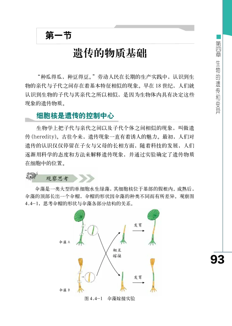 济南版8年级生物上册高清教材_4-教培资料-26年最新资料-同步更新_初中高中教资_03科三专项（进去保存报考的学科即可）_02科三专项（笔记真题思维导图教学设计版本二）