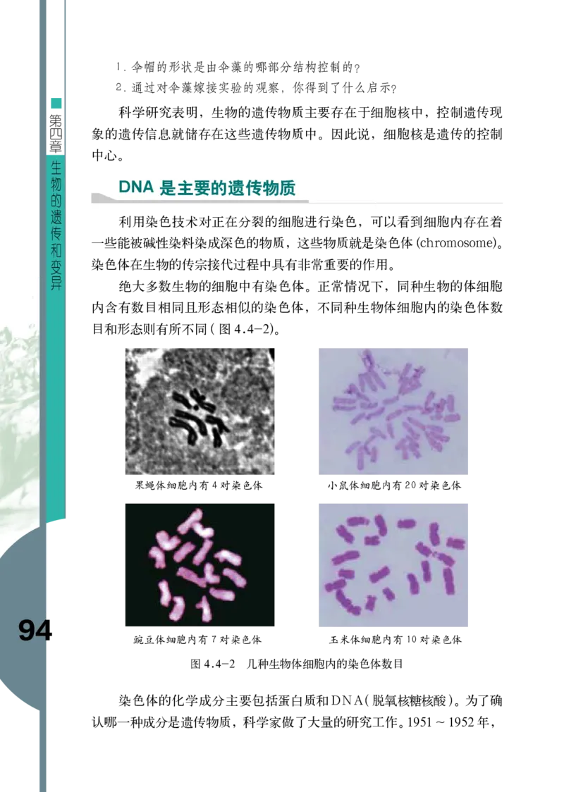 济南版8年级生物上册高清教材_4-教培资料-26年最新资料-同步更新_初中高中教资_03科三专项（进去保存报考的学科即可）_02科三专项（笔记真题思维导图教学设计版本二）