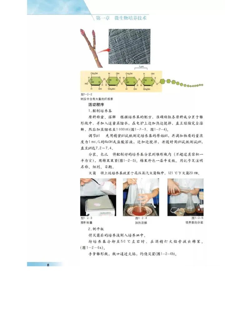 沪科版高中生物选修1《生物技术实践》电子课本_4-教培资料-26年最新资料-同步更新_初中高中教资_03科三专项（进去保存报考的学科即可）_112025高中科目（全）电子教材