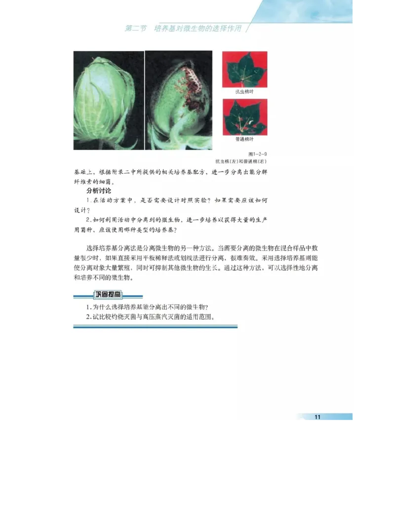 沪科版高中生物选修1《生物技术实践》电子课本_4-教培资料-26年最新资料-同步更新_初中高中教资_03科三专项（进去保存报考的学科即可）_112025高中科目（全）电子教材