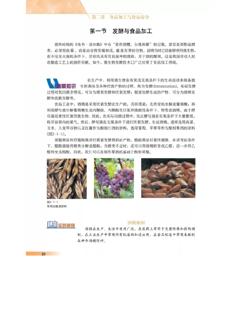 沪科版高中生物选修1《生物技术实践》电子课本_4-教培资料-26年最新资料-同步更新_初中高中教资_03科三专项（进去保存报考的学科即可）_112025高中科目（全）电子教材