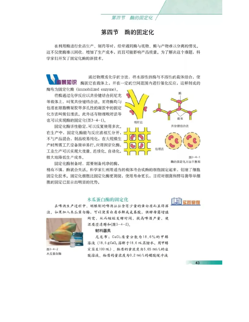 沪科版高中生物选修1《生物技术实践》电子课本_4-教培资料-26年最新资料-同步更新_初中高中教资_03科三专项（进去保存报考的学科即可）_112025高中科目（全）电子教材