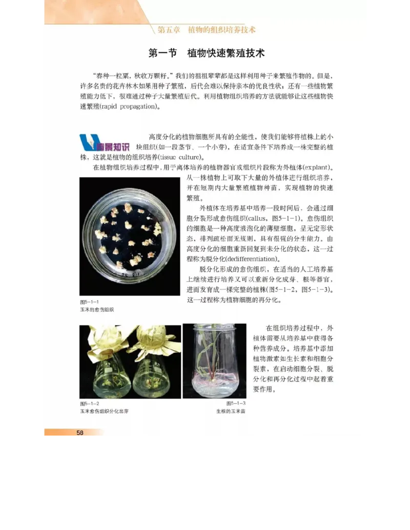 沪科版高中生物选修1《生物技术实践》电子课本_4-教培资料-26年最新资料-同步更新_初中高中教资_03科三专项（进去保存报考的学科即可）_112025高中科目（全）电子教材