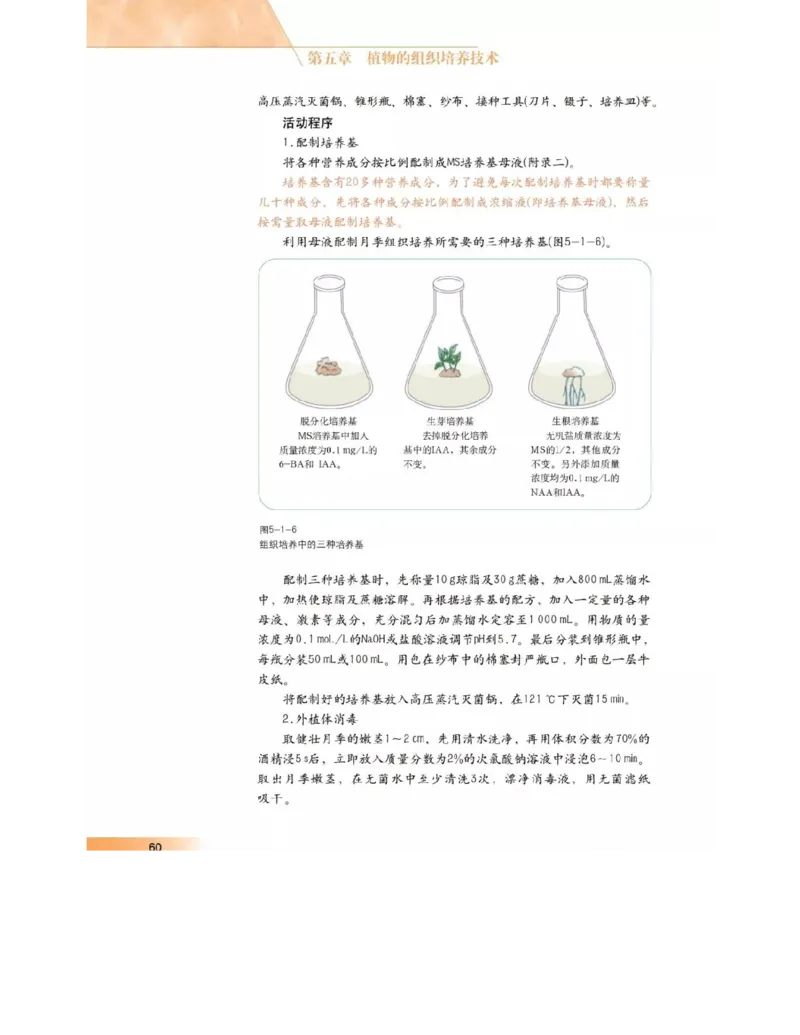 沪科版高中生物选修1《生物技术实践》电子课本_4-教培资料-26年最新资料-同步更新_初中高中教资_03科三专项（进去保存报考的学科即可）_112025高中科目（全）电子教材