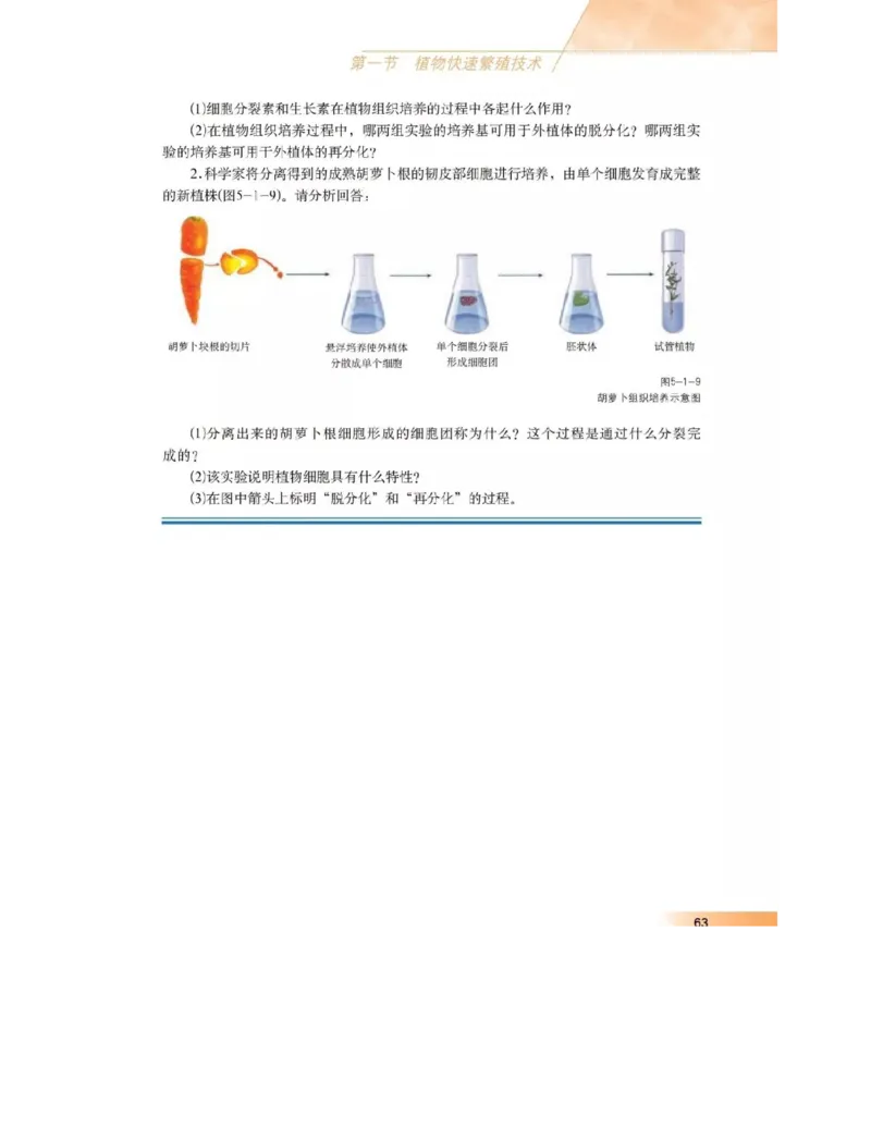 沪科版高中生物选修1《生物技术实践》电子课本_4-教培资料-26年最新资料-同步更新_初中高中教资_03科三专项（进去保存报考的学科即可）_112025高中科目（全）电子教材