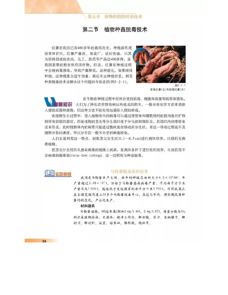 沪科版高中生物选修1《生物技术实践》电子课本_4-教培资料-26年最新资料-同步更新_初中高中教资_03科三专项（进去保存报考的学科即可）_112025高中科目（全）电子教材