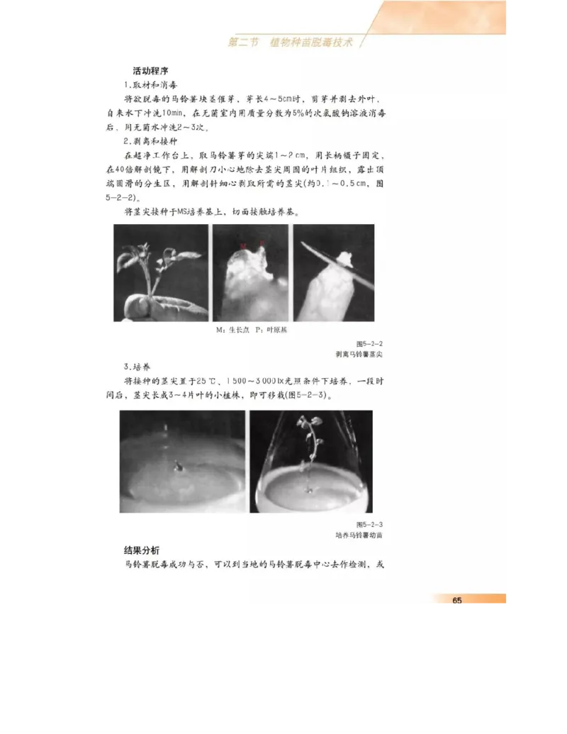 沪科版高中生物选修1《生物技术实践》电子课本_4-教培资料-26年最新资料-同步更新_初中高中教资_03科三专项（进去保存报考的学科即可）_112025高中科目（全）电子教材