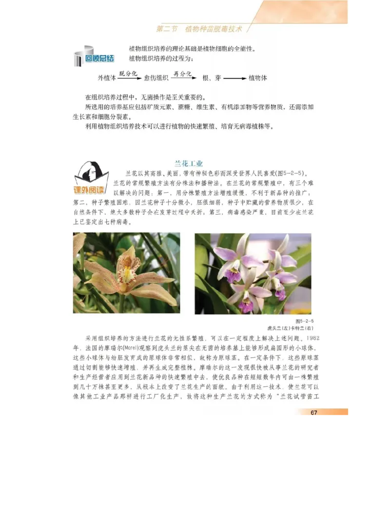 沪科版高中生物选修1《生物技术实践》电子课本_4-教培资料-26年最新资料-同步更新_初中高中教资_03科三专项（进去保存报考的学科即可）_112025高中科目（全）电子教材