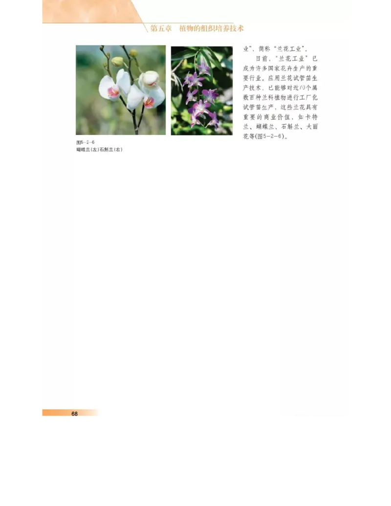 沪科版高中生物选修1《生物技术实践》电子课本_4-教培资料-26年最新资料-同步更新_初中高中教资_03科三专项（进去保存报考的学科即可）_112025高中科目（全）电子教材