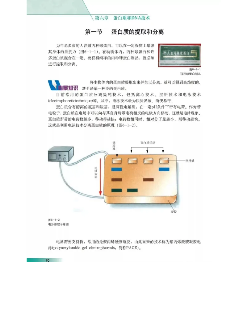 沪科版高中生物选修1《生物技术实践》电子课本_4-教培资料-26年最新资料-同步更新_初中高中教资_03科三专项（进去保存报考的学科即可）_112025高中科目（全）电子教材