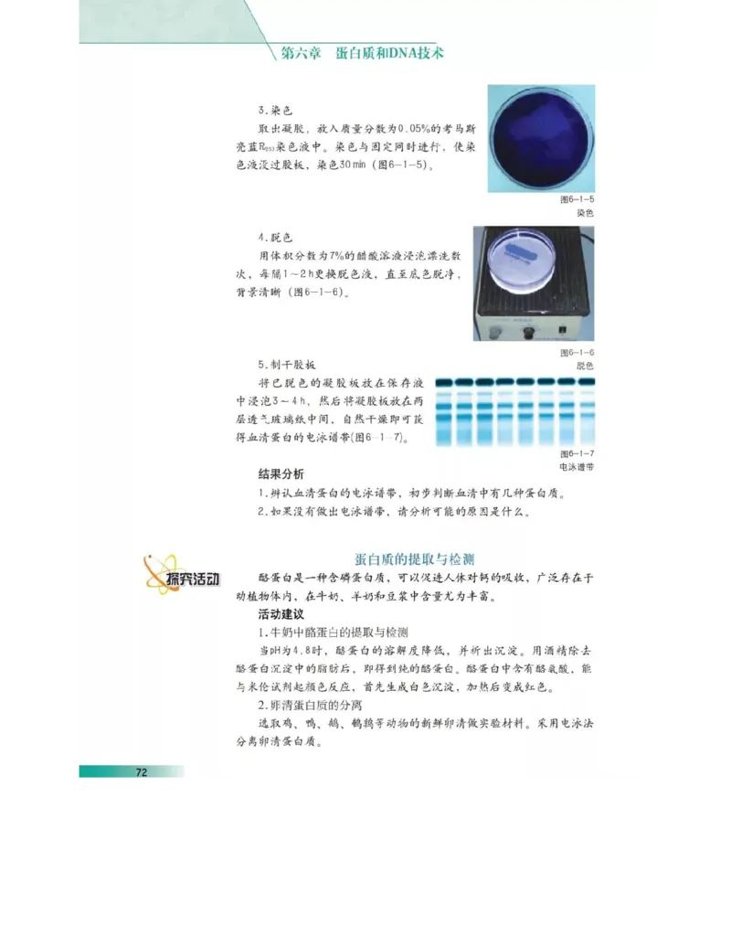 沪科版高中生物选修1《生物技术实践》电子课本_4-教培资料-26年最新资料-同步更新_初中高中教资_03科三专项（进去保存报考的学科即可）_112025高中科目（全）电子教材