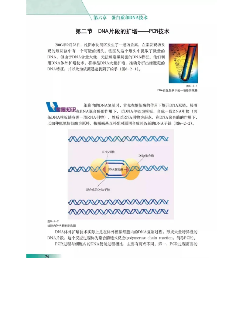 沪科版高中生物选修1《生物技术实践》电子课本_4-教培资料-26年最新资料-同步更新_初中高中教资_03科三专项（进去保存报考的学科即可）_112025高中科目（全）电子教材