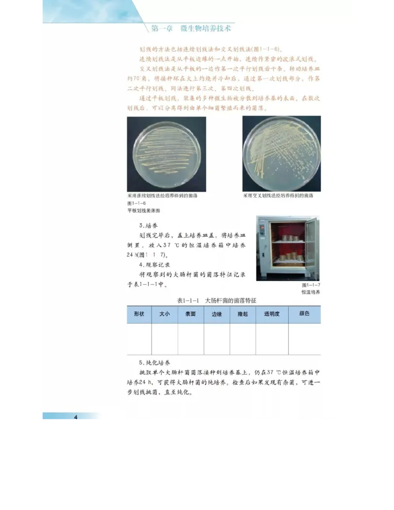 沪科版高中生物选修1《生物技术实践》电子课本_4-教培资料-26年最新资料-同步更新_初中高中教资_03科三专项（进去保存报考的学科即可）_112025高中科目（全）电子教材