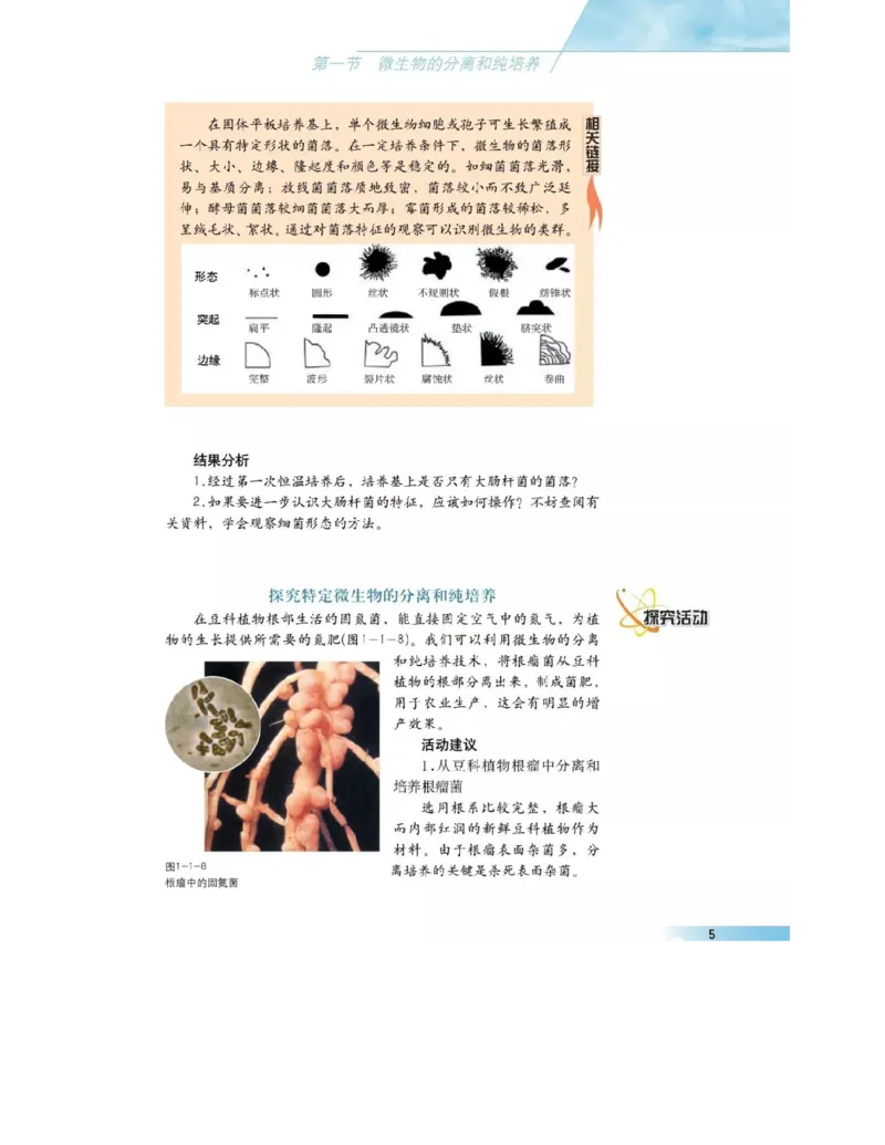 沪科版高中生物选修1《生物技术实践》电子课本_4-教培资料-26年最新资料-同步更新_初中高中教资_03科三专项（进去保存报考的学科即可）_112025高中科目（全）电子教材