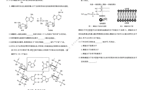 北京市东城区2024-2025学年度高二第二学期期末统一检测化学试卷（含答案）_2025年7月_250728北京市东城区2024-2025学年高二下学期期末考试（全科）