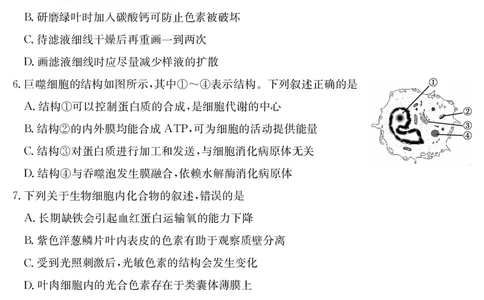 河北省2024-2025学年高二下学期7月联考生物_2025年7月_250714河北省金太阳2024-2025学年高二下学期7月期末考试_河北省部分学校2024-2025学年高二下学期7月期末考试生物试卷