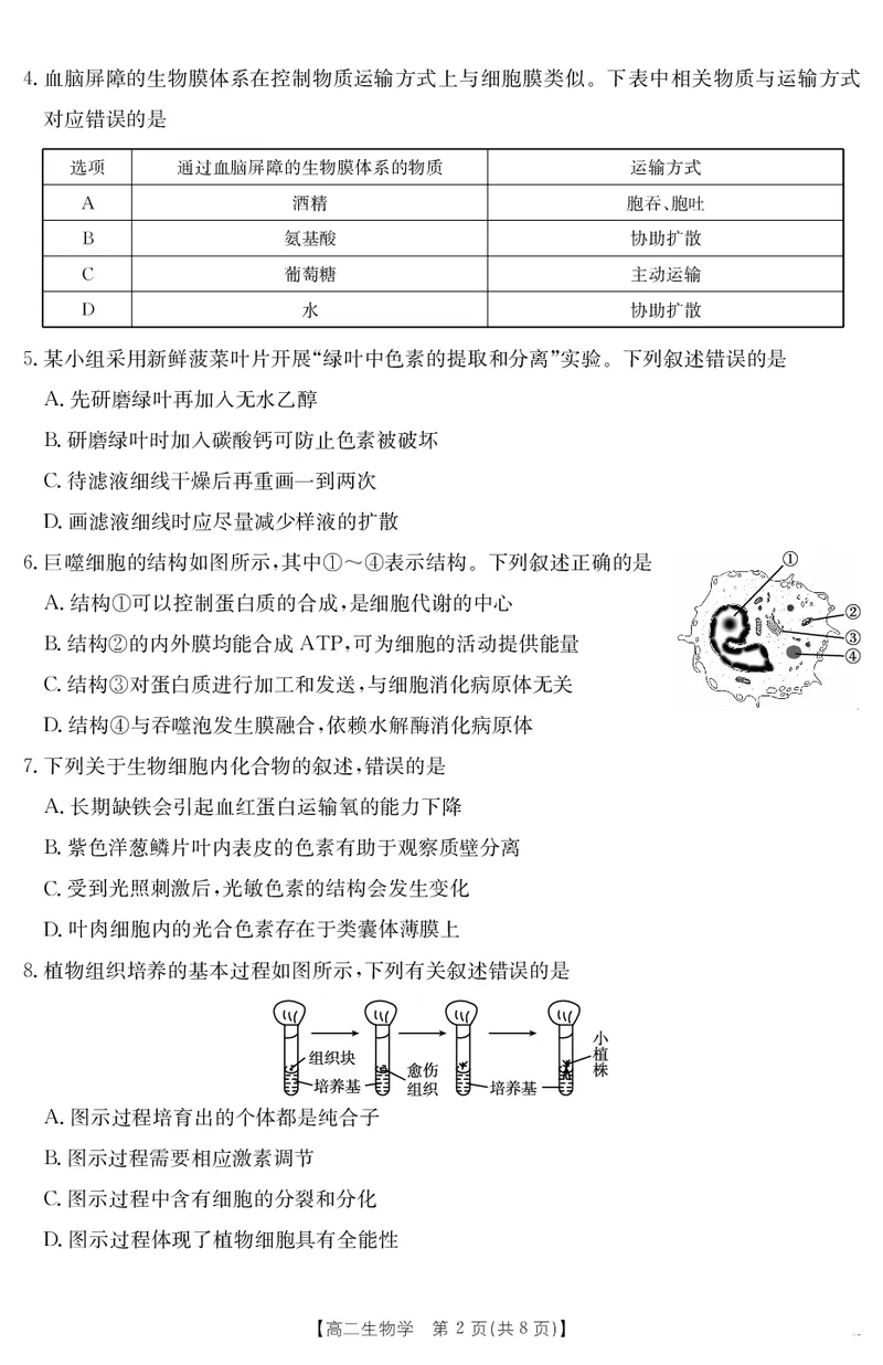 河北省2024-2025学年高二下学期7月联考生物_2025年7月_250714河北省金太阳2024-2025学年高二下学期7月期末考试_河北省部分学校2024-2025学年高二下学期7月期末考试生物试卷