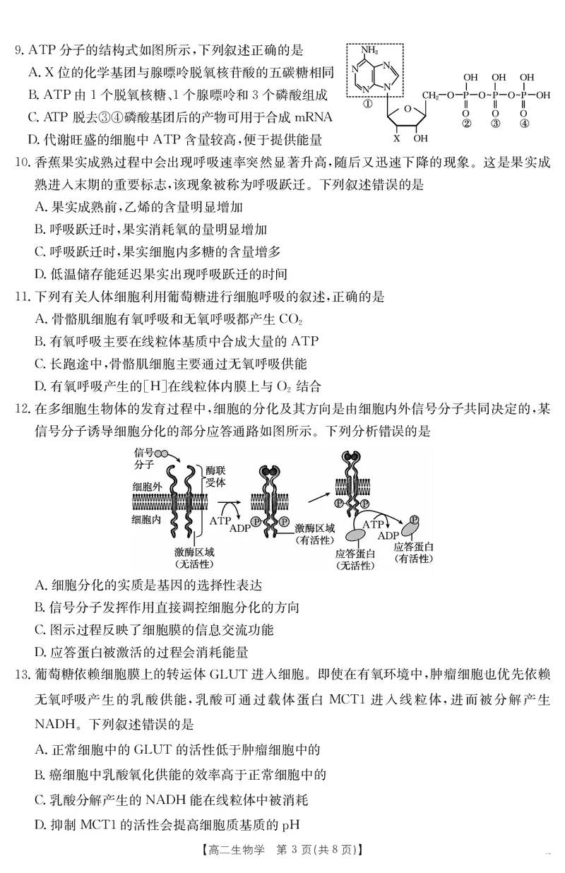 河北省2024-2025学年高二下学期7月联考生物_2025年7月_250714河北省金太阳2024-2025学年高二下学期7月期末考试_河北省部分学校2024-2025学年高二下学期7月期末考试生物试卷