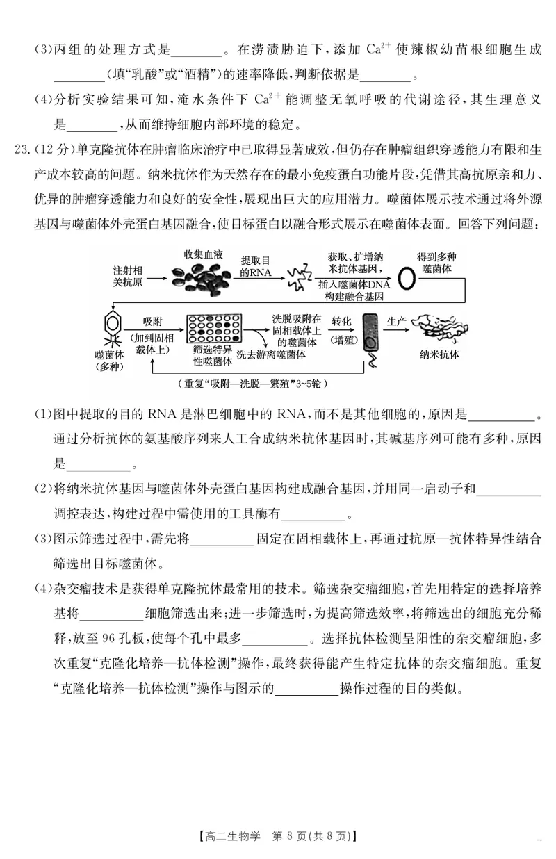 河北省2024-2025学年高二下学期7月联考生物_2025年7月_250714河北省金太阳2024-2025学年高二下学期7月期末考试_河北省部分学校2024-2025学年高二下学期7月期末考试生物试卷