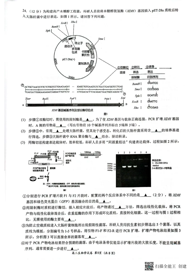江苏省连云港市2024-2025学年高二下学期期末生物试题_2025年6月_250627江苏省连云港市2024-2025学年高二下学期期末调研考试（全科）