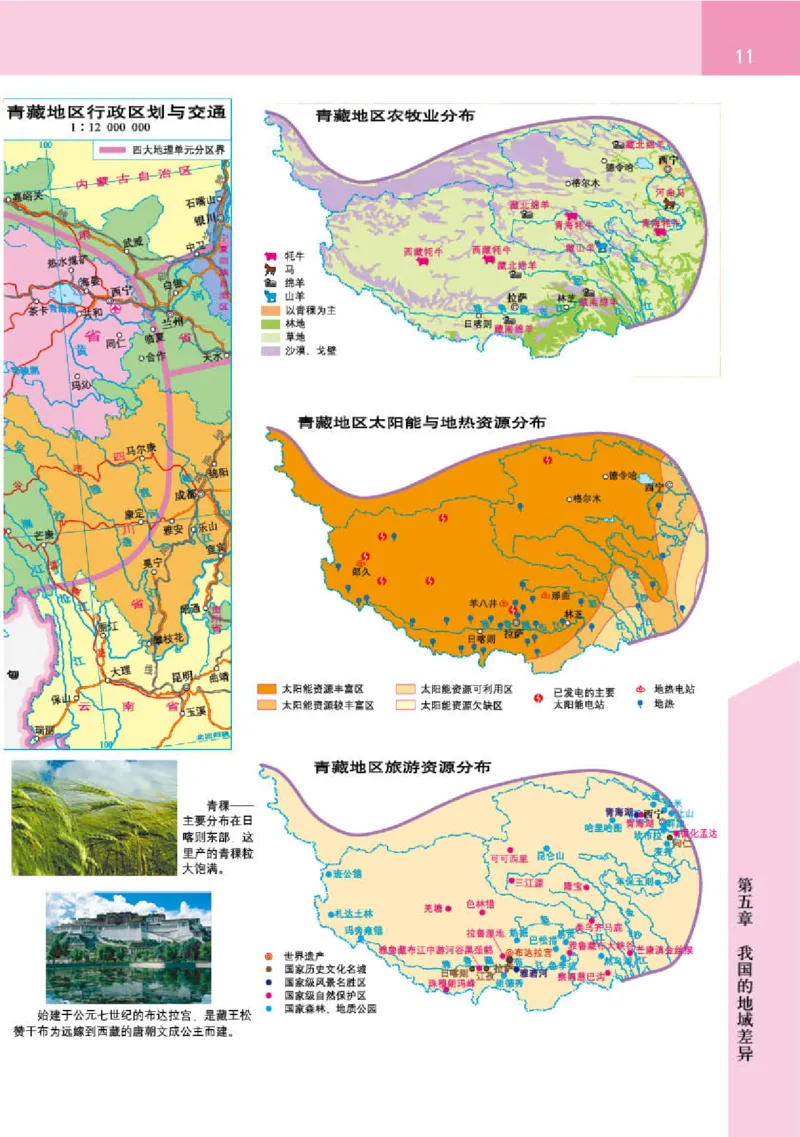 晋教版8年级地理下册地理图册_4-教培资料-26年最新资料-同步更新_初中高中教资_03科三专项（进去保存报考的学科即可）_02科三专项（笔记真题思维导图教学设计版本二）