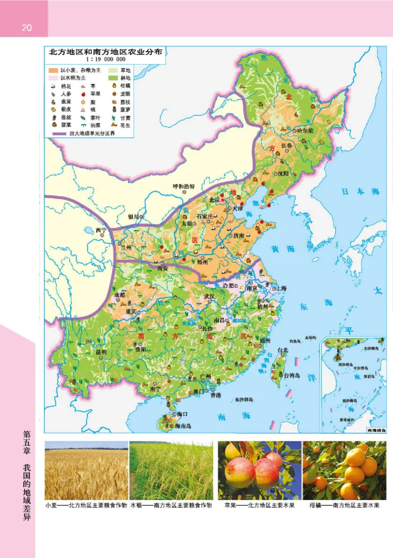 晋教版8年级地理下册地理图册_4-教培资料-26年最新资料-同步更新_初中高中教资_03科三专项（进去保存报考的学科即可）_02科三专项（笔记真题思维导图教学设计版本二）