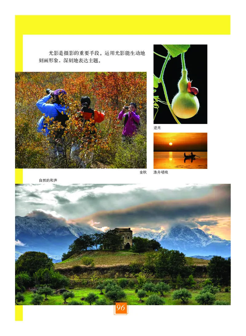 教科版8年级艺术上册高清教材_4-教培资料-26年最新资料-同步更新_初中高中教资_03科三专项（进去保存报考的学科即可）_02科三专项（笔记真题思维导图教学设计版本二）