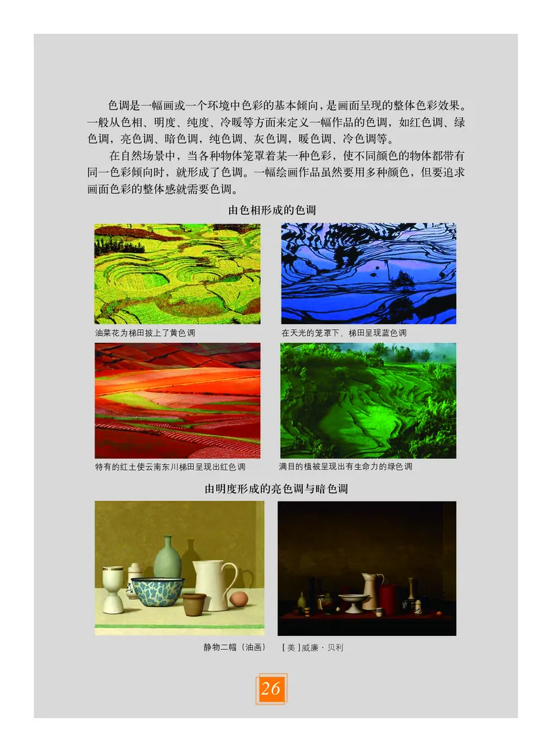 教科版8年级艺术上册高清教材_4-教培资料-26年最新资料-同步更新_初中高中教资_03科三专项（进去保存报考的学科即可）_02科三专项（笔记真题思维导图教学设计版本二）