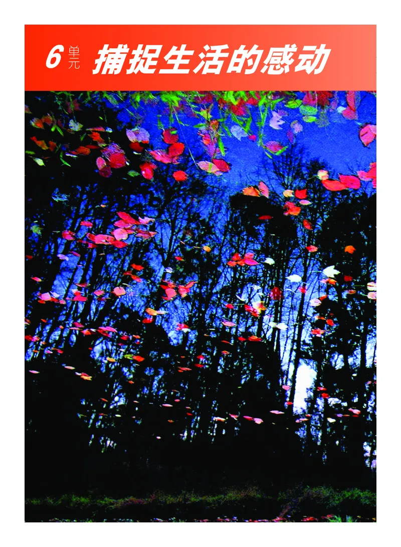 教科版8年级艺术上册高清教材_4-教培资料-26年最新资料-同步更新_初中高中教资_03科三专项（进去保存报考的学科即可）_02科三专项（笔记真题思维导图教学设计版本二）