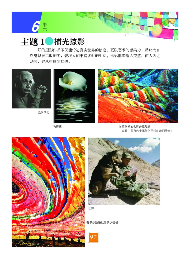 教科版8年级艺术上册高清教材_4-教培资料-26年最新资料-同步更新_初中高中教资_03科三专项（进去保存报考的学科即可）_02科三专项（笔记真题思维导图教学设计版本二）