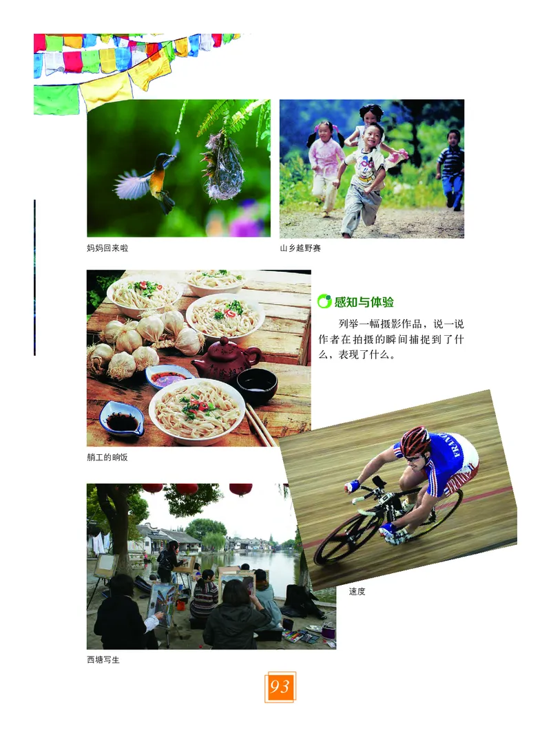 教科版8年级艺术上册高清教材_4-教培资料-26年最新资料-同步更新_初中高中教资_03科三专项（进去保存报考的学科即可）_02科三专项（笔记真题思维导图教学设计版本二）