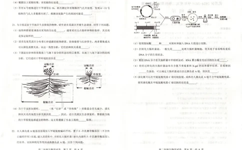 湖北省武昌区2024~2025学年度高二年级期末质量检测生物_2025年6月_250628湖北省武昌区2024~2025学年度高二年级期末质量检测（全科）