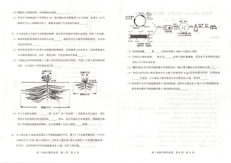 湖北省武昌区2024~2025学年度高二年级期末质量检测生物_2025年6月_250628湖北省武昌区2024~2025学年度高二年级期末质量检测（全科）