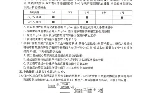 河北省邢台市卓越联盟2024-2025学年高二下学期6月月考生物试题_2025年6月_250616河北省邢台市卓越联盟2024-2025学年高二下学期第三次考试（金太阳544B）（全科）(1)