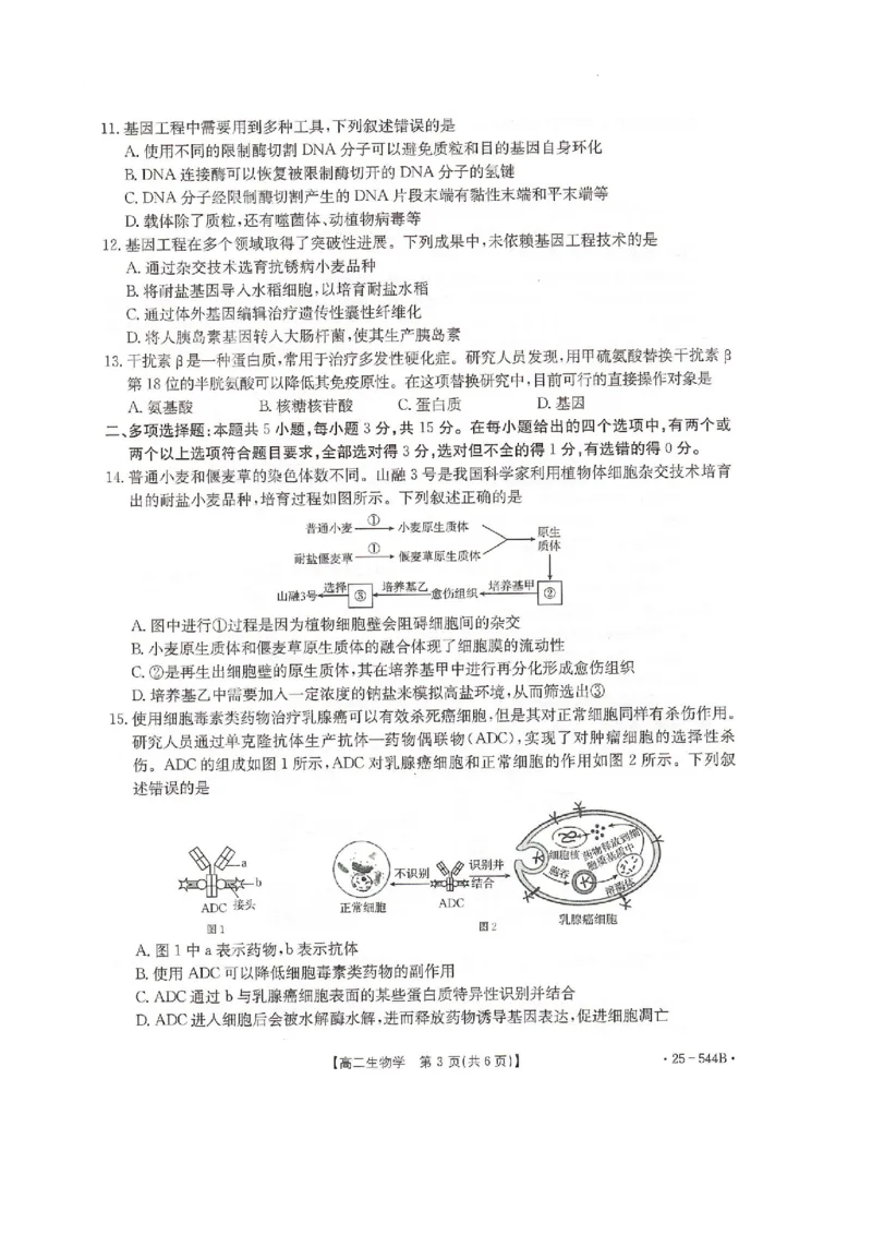 河北省邢台市卓越联盟2024-2025学年高二下学期6月月考生物试题_2025年6月_250616河北省邢台市卓越联盟2024-2025学年高二下学期第三次考试（金太阳544B）（全科）(1)
