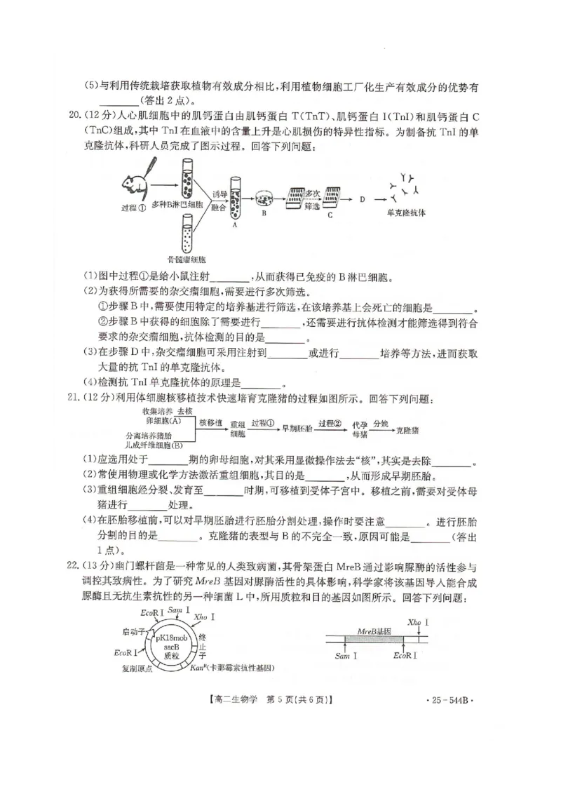 河北省邢台市卓越联盟2024-2025学年高二下学期6月月考生物试题_2025年6月_250616河北省邢台市卓越联盟2024-2025学年高二下学期第三次考试（金太阳544B）（全科）(1)