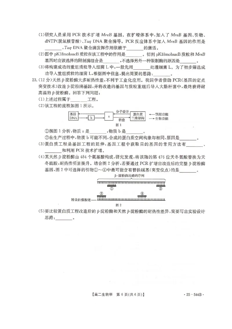 河北省邢台市卓越联盟2024-2025学年高二下学期6月月考生物试题_2025年6月_250616河北省邢台市卓越联盟2024-2025学年高二下学期第三次考试（金太阳544B）（全科）(1)