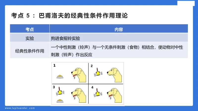 幼科二单选急救（1）_4-教培资料-26年最新资料-同步更新_幼儿教资_幼儿冲刺急救包_5.L姨冲刺70分[急救班]_幼儿冲刺抢分课（25下急救班）_科二_配套讲义