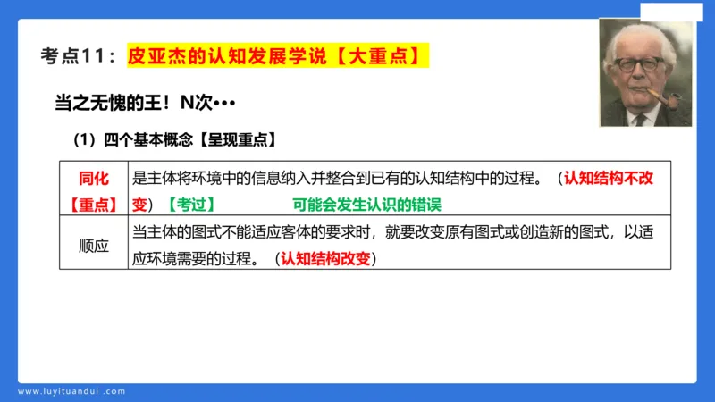 幼科二单选急救（1）_4-教培资料-26年最新资料-同步更新_幼儿教资_幼儿冲刺急救包_5.L姨冲刺70分[急救班]_幼儿冲刺抢分课（25下急救班）_科二_配套讲义