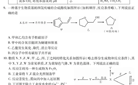 四川省乐山市高中2023级第一次调查研究考试化学_2025年12月_251231四川省乐山市高中2026届高三上学期第一次调查研究考试（全科）