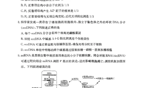 湖南省长沙市雅礼中学2025-2026学年高三上学期11月月考生物试题_251107湖南省长沙市雅礼中学2026届高三上学期月考（三）（全科）