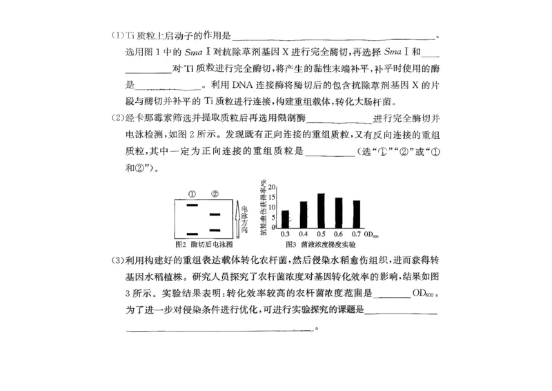 湖南省长沙市雅礼中学2025-2026学年高三上学期11月月考生物试题_251107湖南省长沙市雅礼中学2026届高三上学期月考（三）（全科）