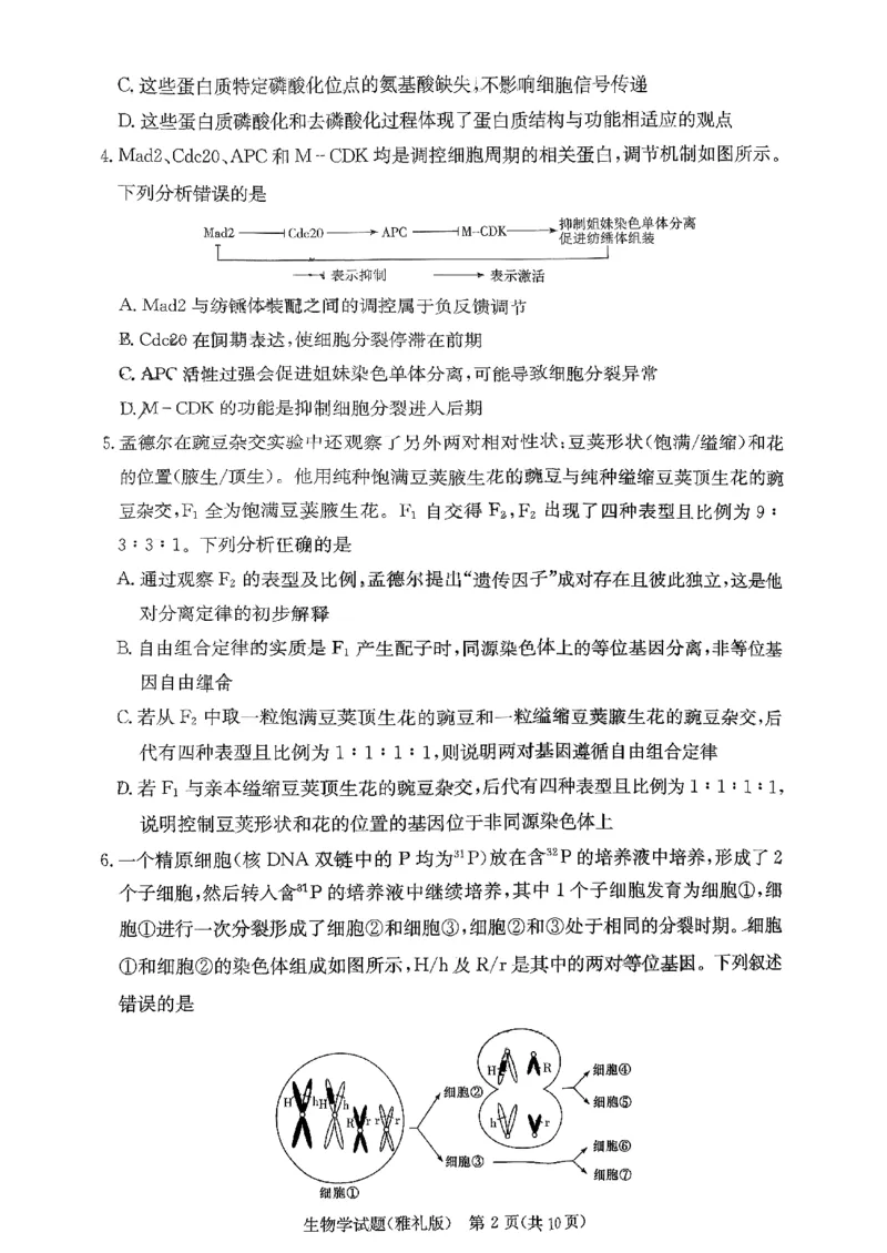 湖南省长沙市雅礼中学2025-2026学年高三上学期11月月考生物试题_251107湖南省长沙市雅礼中学2026届高三上学期月考（三）（全科）