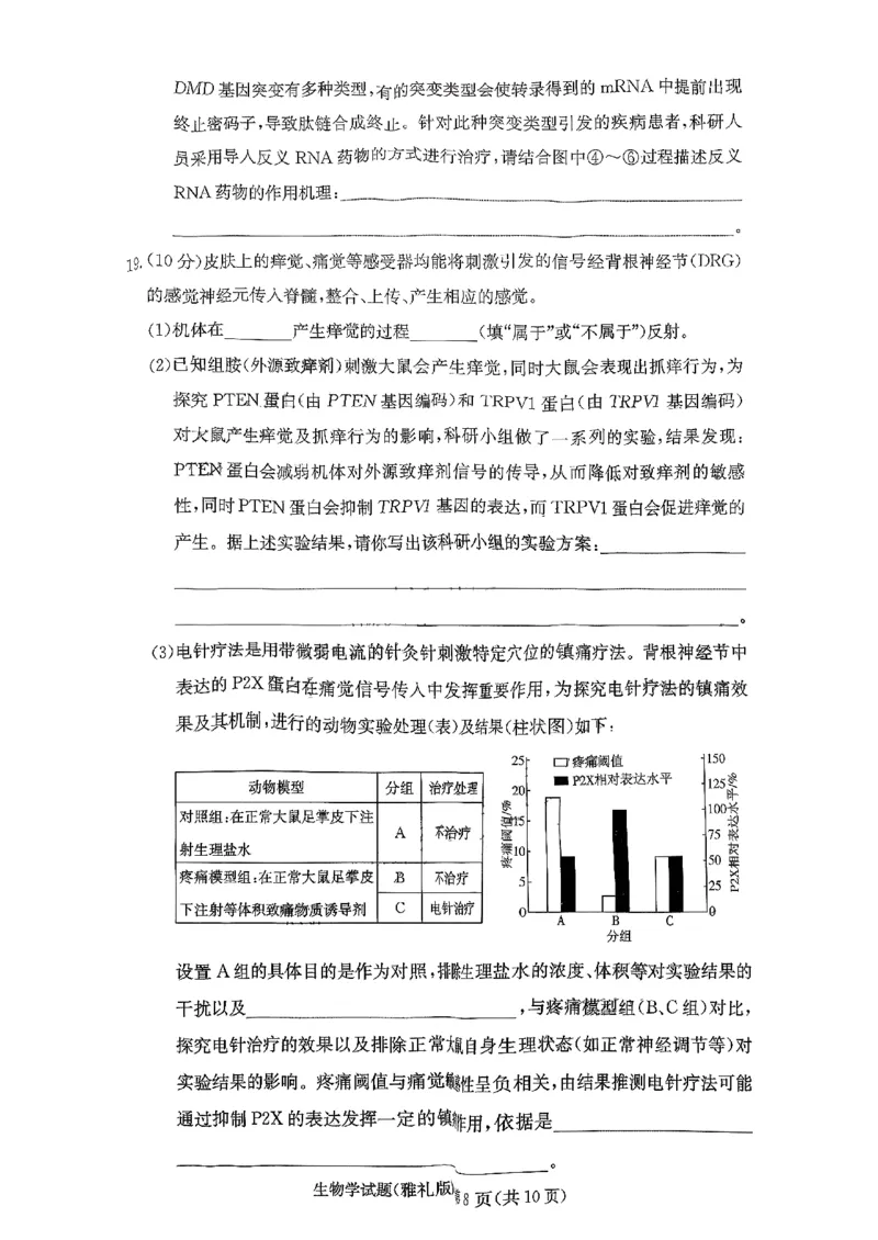 湖南省长沙市雅礼中学2025-2026学年高三上学期11月月考生物试题_251107湖南省长沙市雅礼中学2026届高三上学期月考（三）（全科）