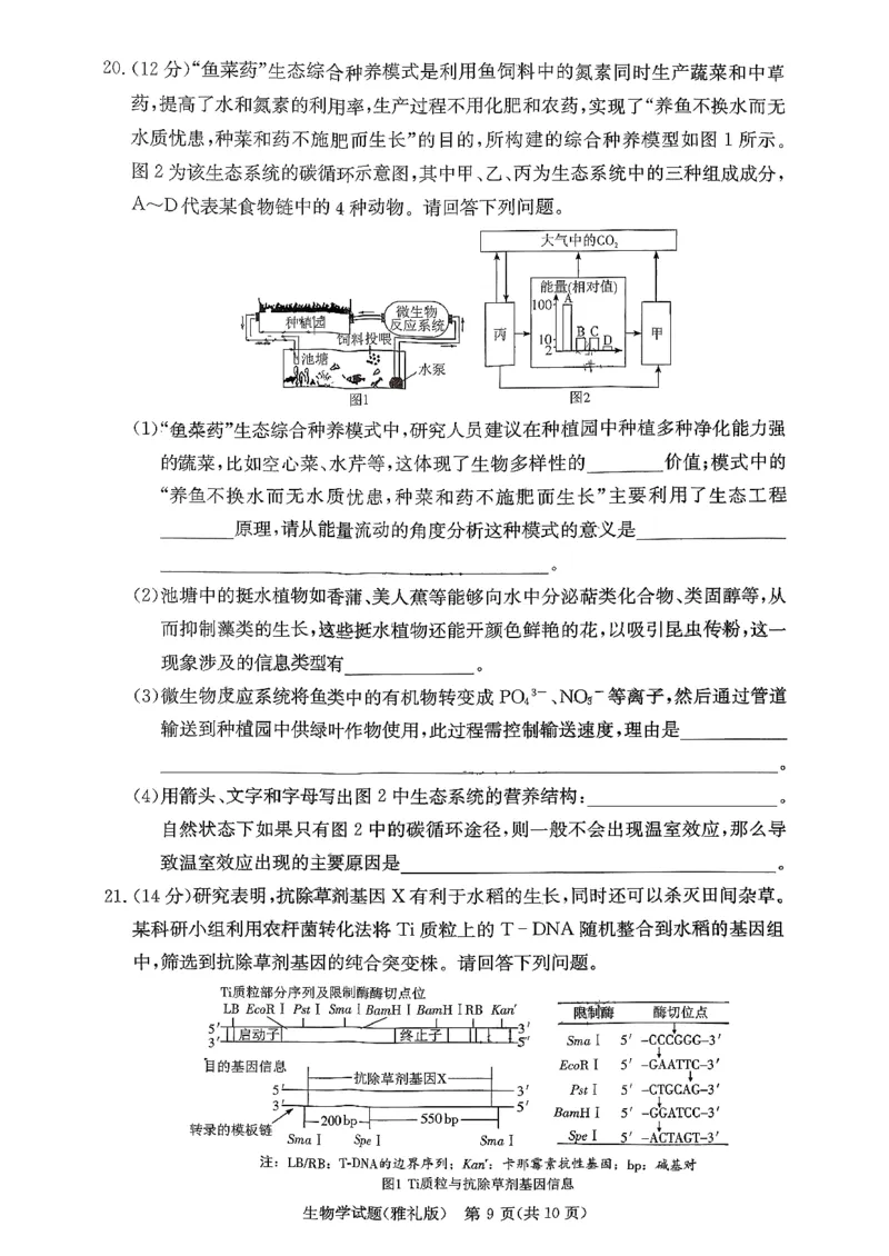湖南省长沙市雅礼中学2025-2026学年高三上学期11月月考生物试题_251107湖南省长沙市雅礼中学2026届高三上学期月考（三）（全科）
