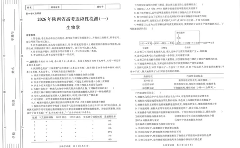 2026届陕西省高三上学期适应性检测（一）生物试卷（含答案）_2025年12月_2512132026届陕西省高三上学期适应性检测（一）（全科）