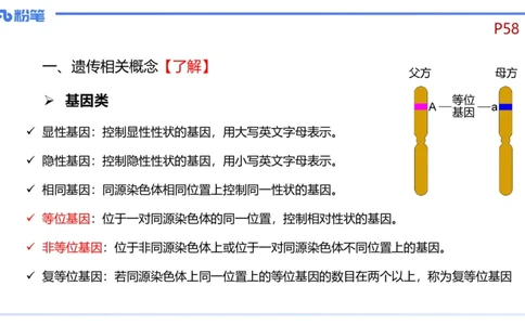 理论精讲08-遗传学1-拾光_4-教培资料-26年最新资料-同步更新_初中高中教资_03科三专项（进去保存报考的学科即可）_01科目三FB网课、三色速记手册、知识点导图等推荐_初中